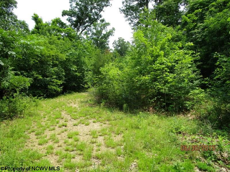 Parcel F Twelve Oaks Drive, Elkins, WV 26241