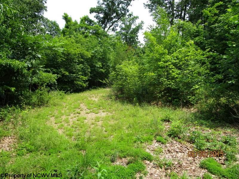 Parcel F Twelve Oaks Drive, Elkins, WV 26241