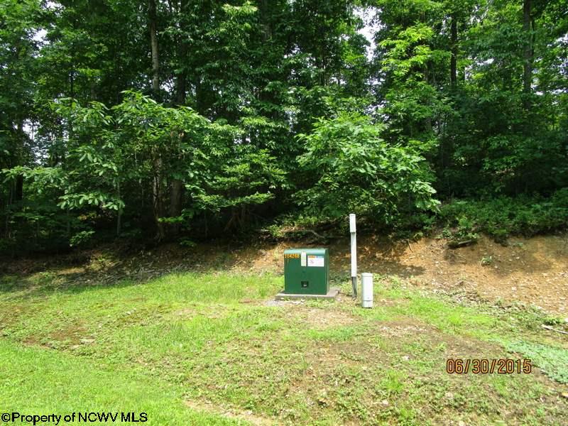 Parcel F Twelve Oaks Drive, Elkins, WV 26241