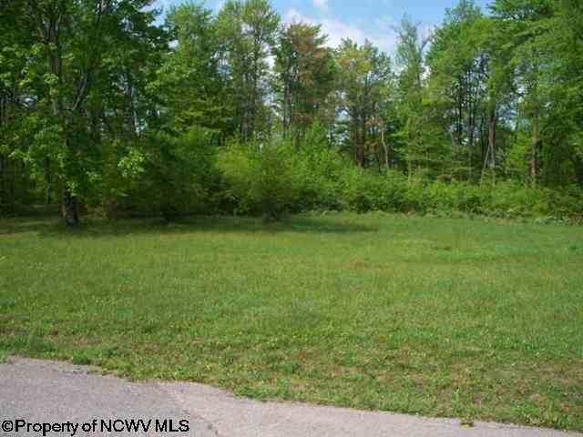 LOT 23 DEERBROOK ESTATES Estates, Belington, WV 26250