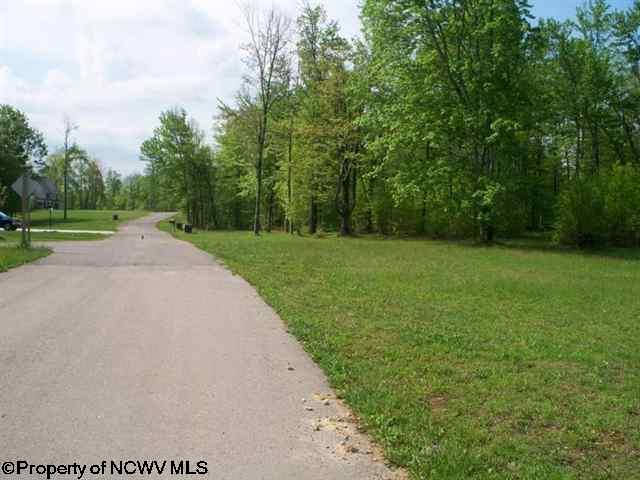 LOT 23 DEERBROOK ESTATES Estates, Belington, WV 26250