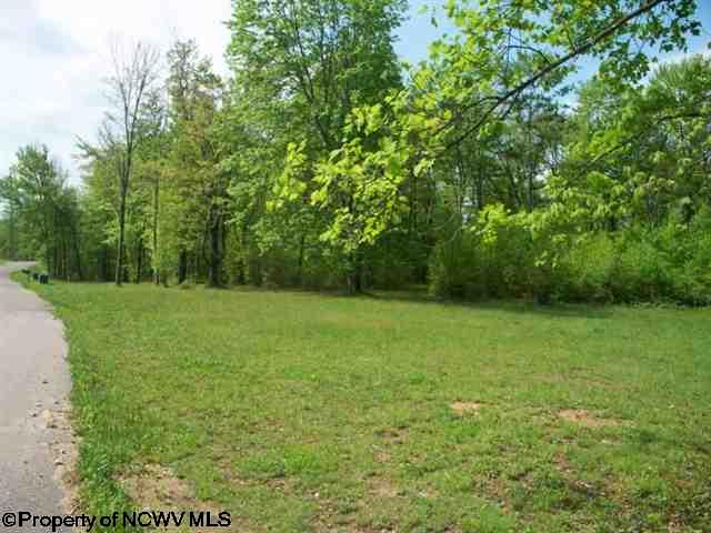 LOT 23 DEERBROOK ESTATES Estates, Belington, WV 26250