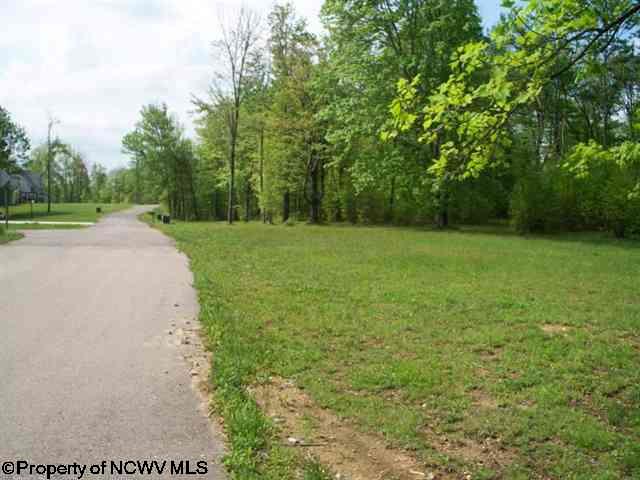 LOT 23 DEERBROOK ESTATES Estates, Belington, WV 26250