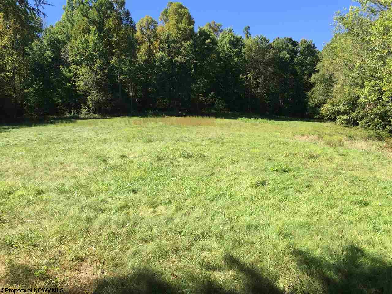 Talbott Road, Belington, WV 26250