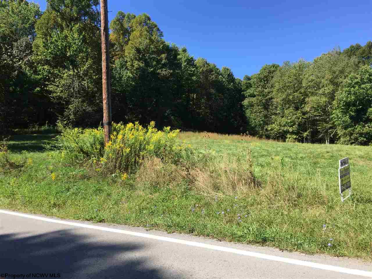 Talbott Road, Belington, WV 26250