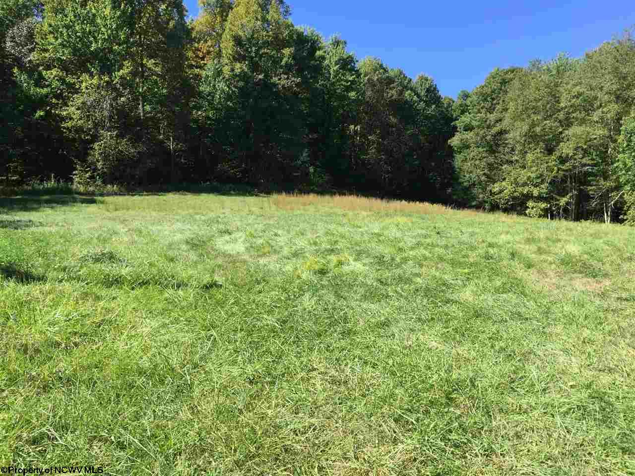 Talbott Road, Belington, WV 26250