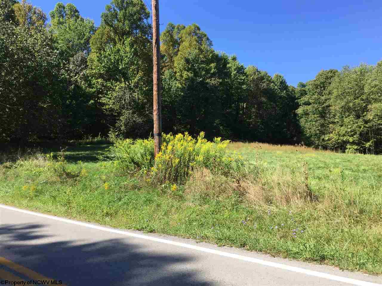 Talbott Road, Belington, WV 26250