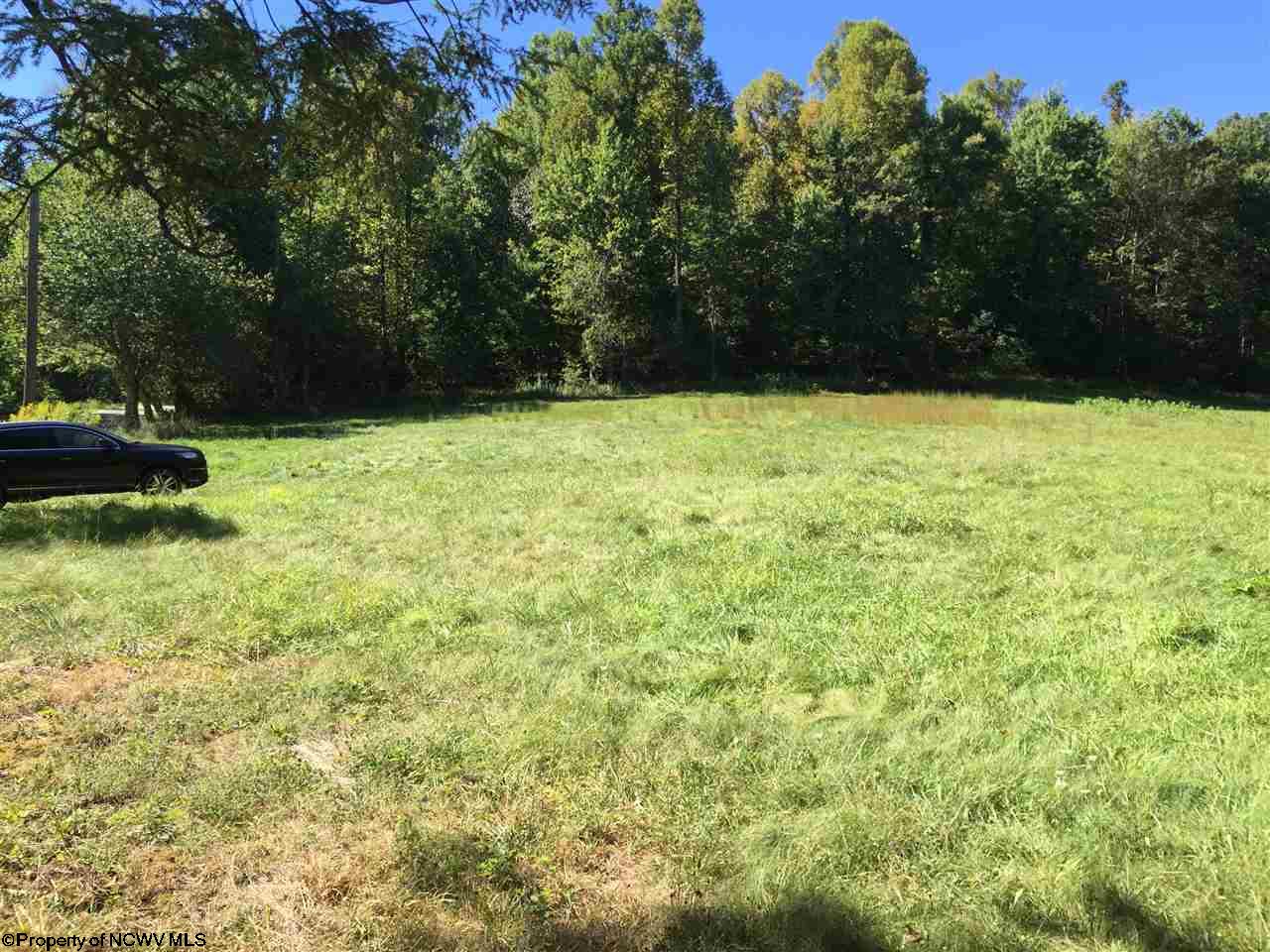 Talbott Road, Belington, WV 26250
