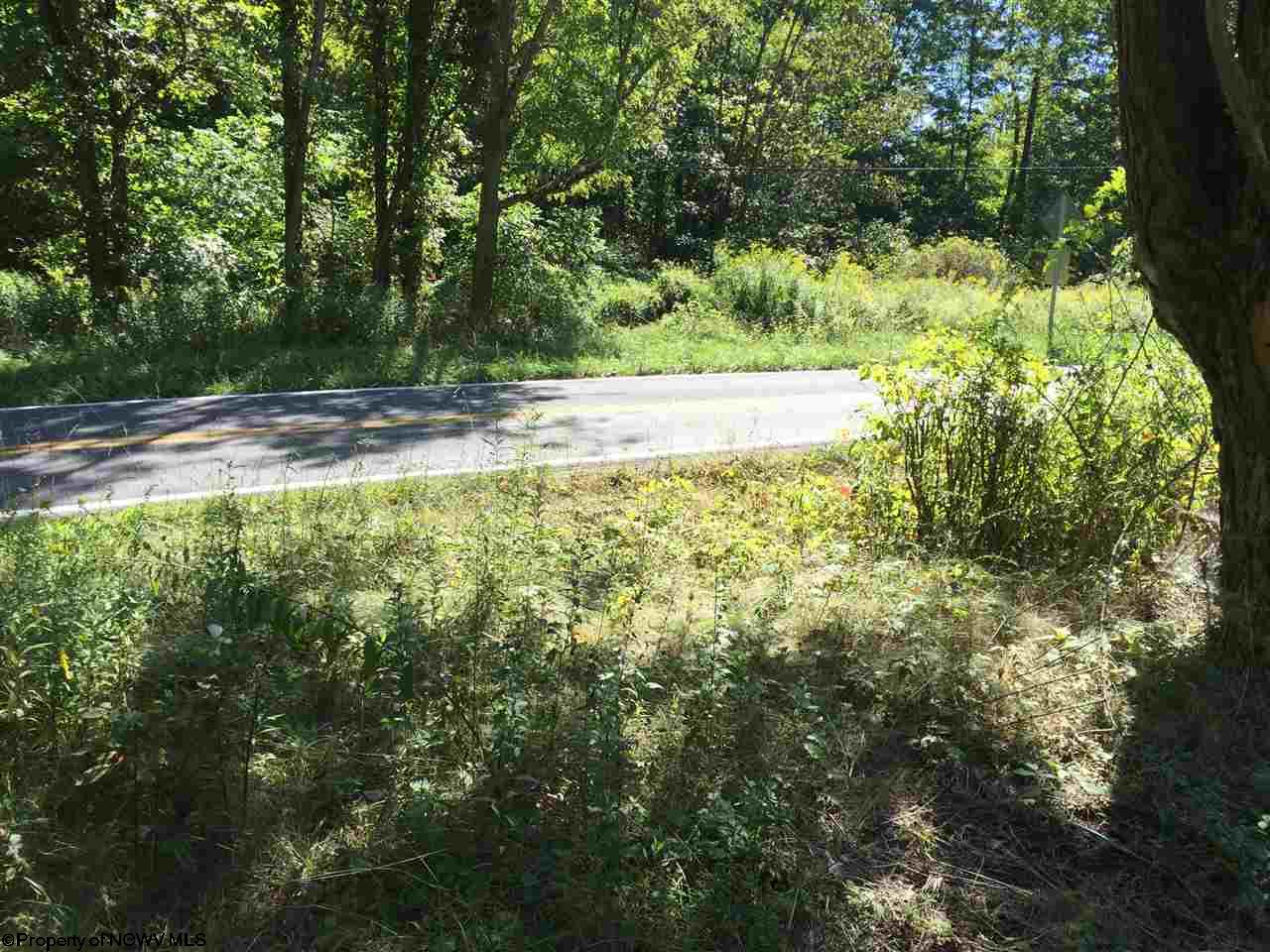 Talbott Road, Belington, WV 26250