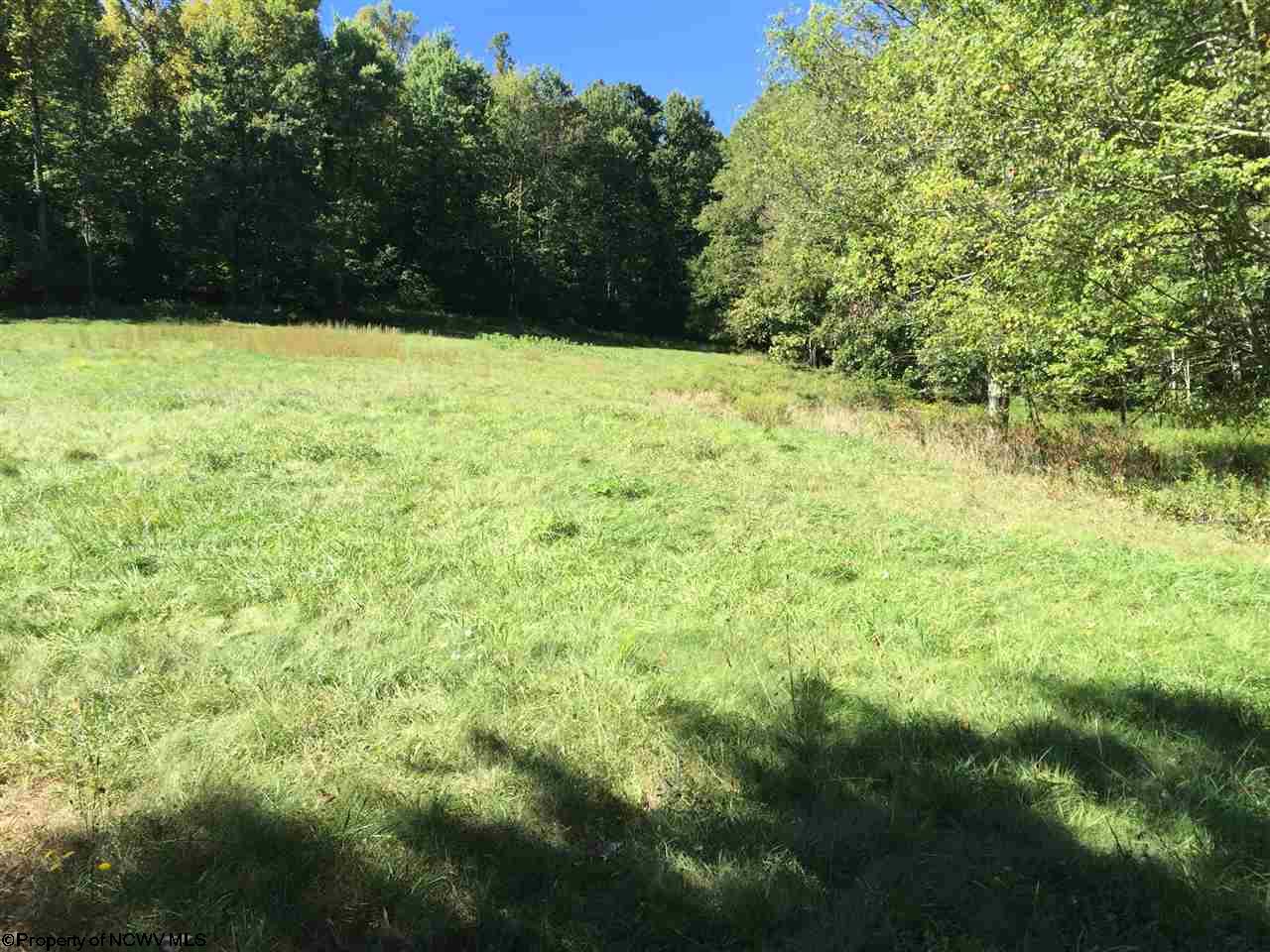 Talbott Road, Belington, WV 26250