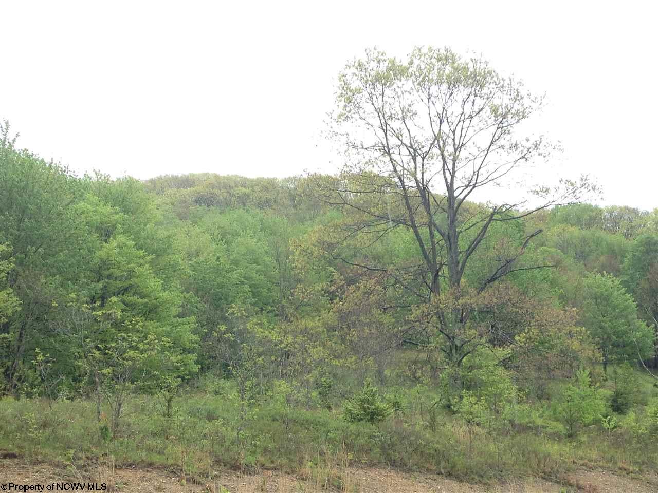 Evenwood-Wimer Road, Bowden, WV 26254