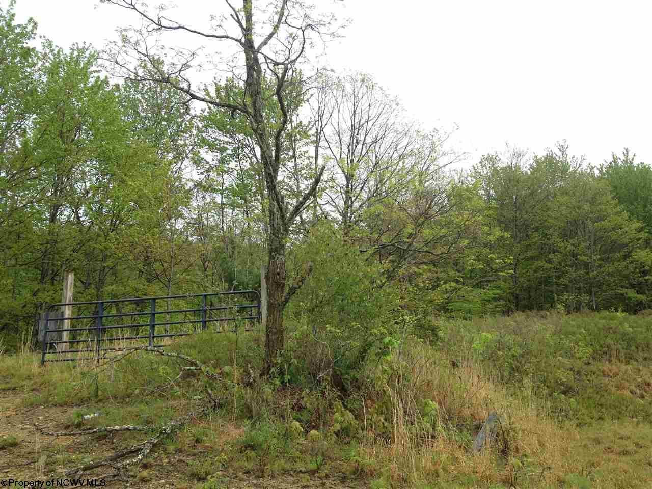 Evenwood-Wimer Road, Bowden, WV 26254