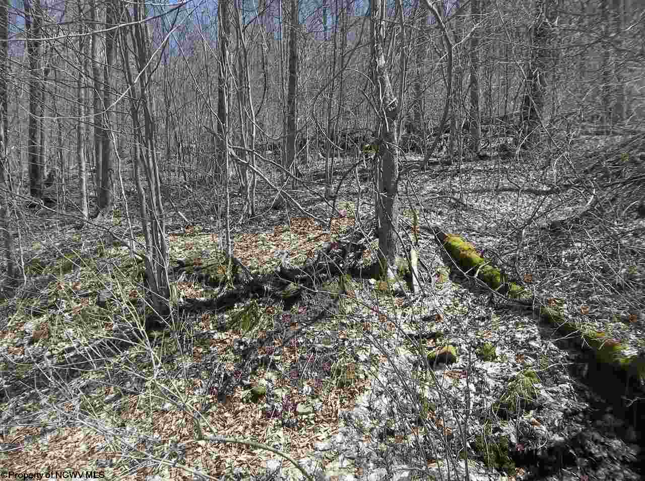 000 FAULKNER Road, Bowden, WV 26254