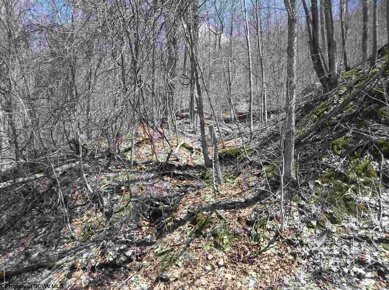 000 FAULKNER Road, Bowden, WV 26254