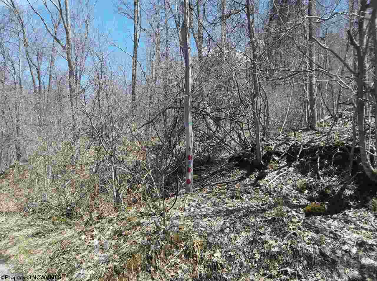 000 FAULKNER Road, Bowden, WV 26254