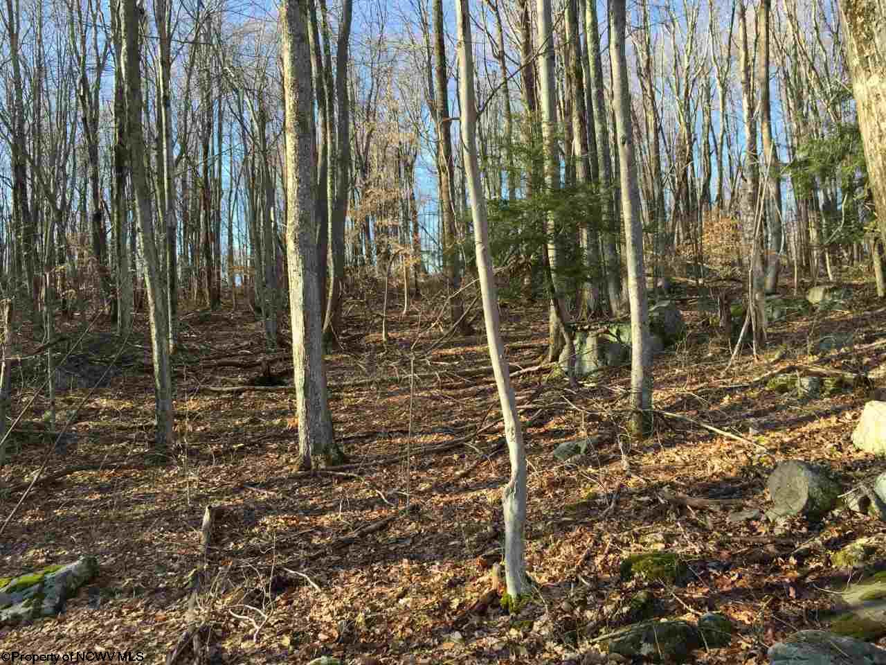 HC 61 Box 31 , Norton, WV 26257