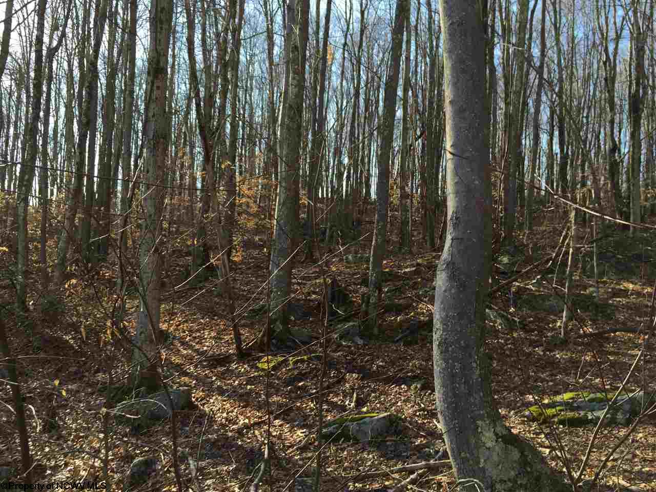 HC 61 Box 31 , Norton, WV 26257