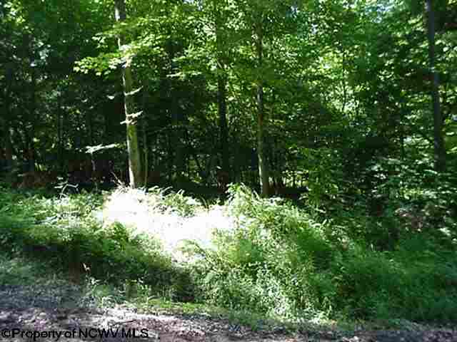 Rt 219/250/Dailey