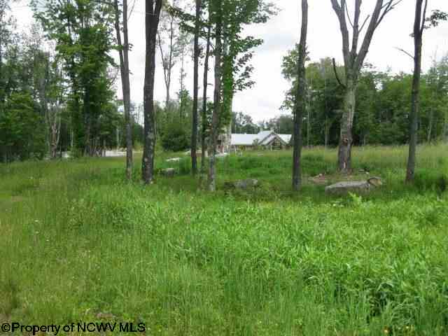 Lot 68 Tuscan Ridge Development Lane, Davis, WV 26260