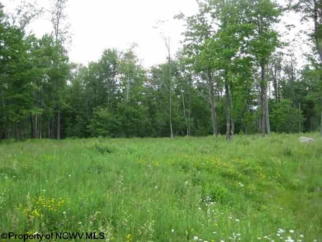 Lot 68 Tuscan Ridge Development Lane, Davis, WV 26260