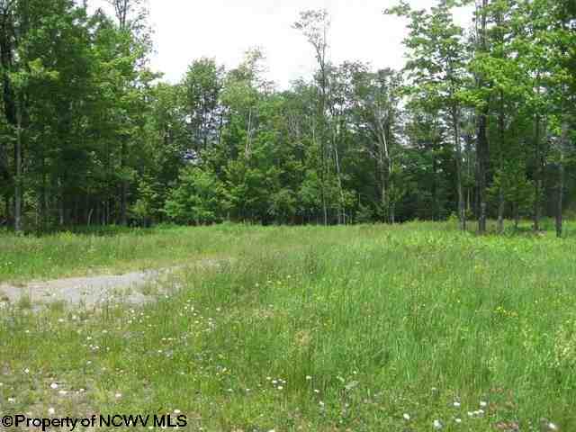 Lot 68 Tuscan Ridge Development Lane, Davis, WV 26260