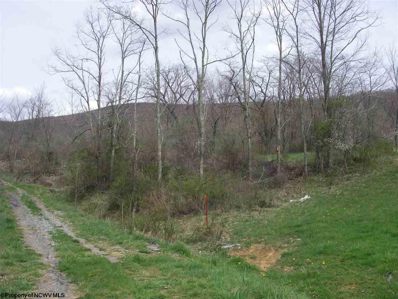 4.9 Lanesville Road, Davis, WV 26260