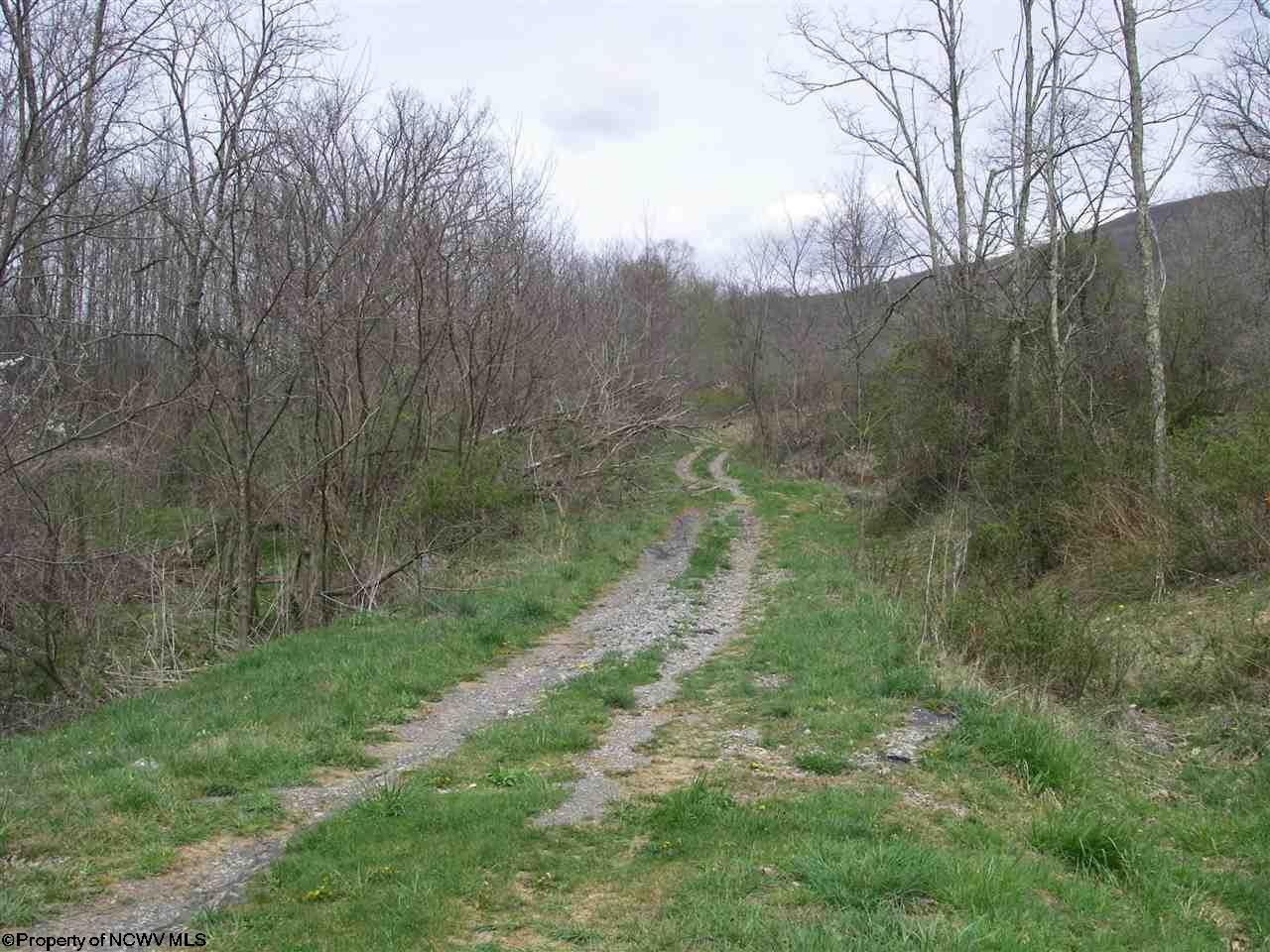 4.9 Lanesville Road, Davis, WV 26260