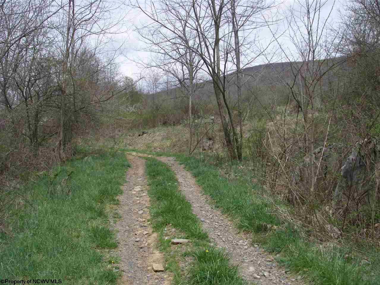 4.9 Lanesville Road, Davis, WV 26260
