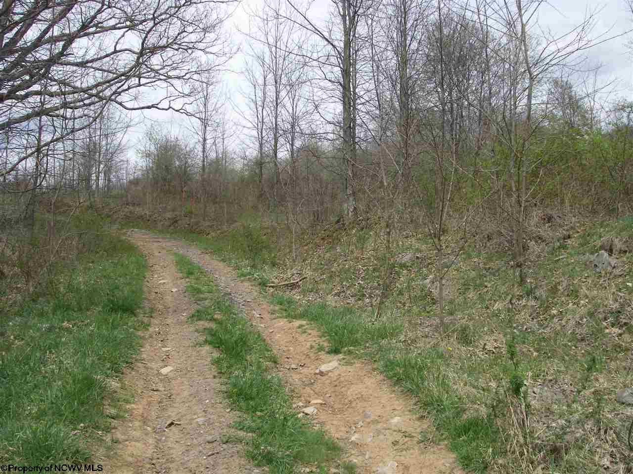 4.9 Lanesville Road, Davis, WV 26260