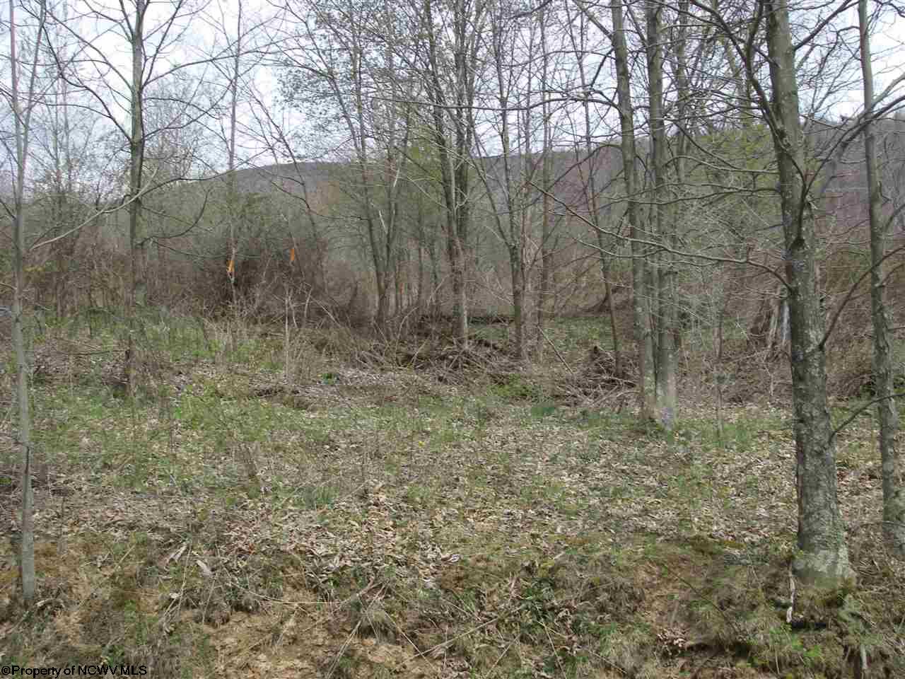 4.9 Lanesville Road, Davis, WV 26260