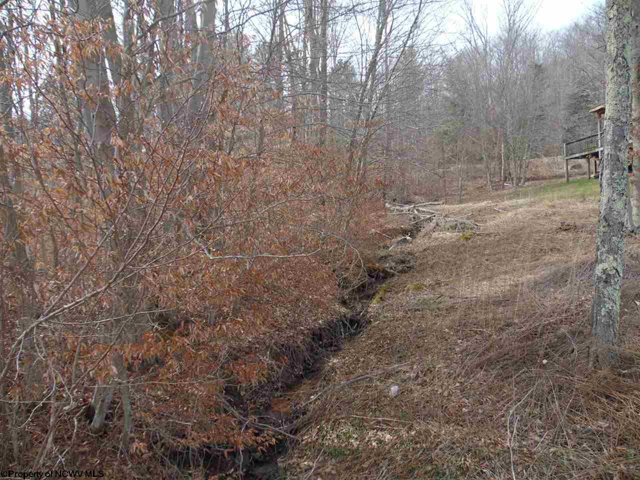 17 Northlake Drive, Davis, WV 26260