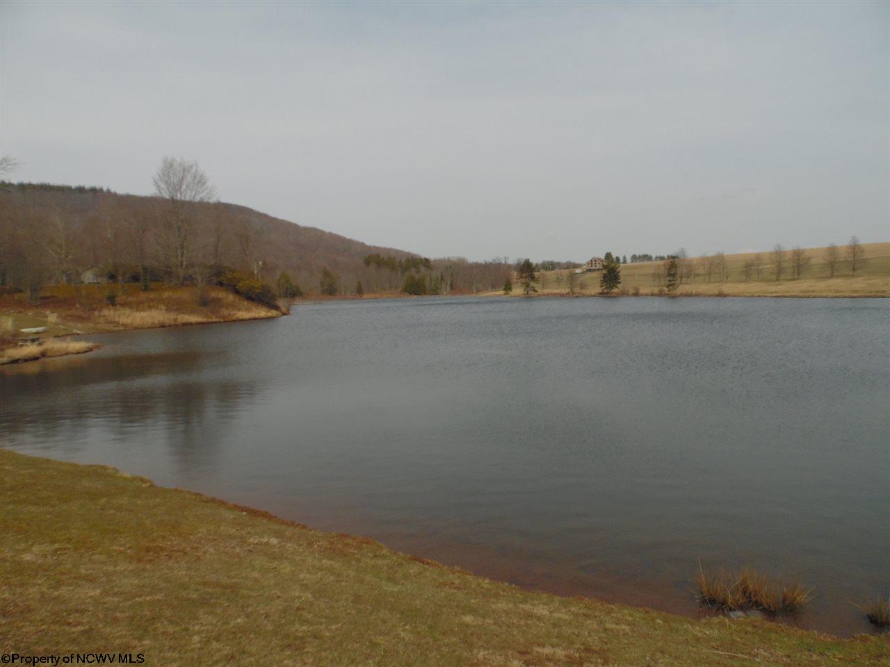 17 Northlake Drive, Davis, WV 26260