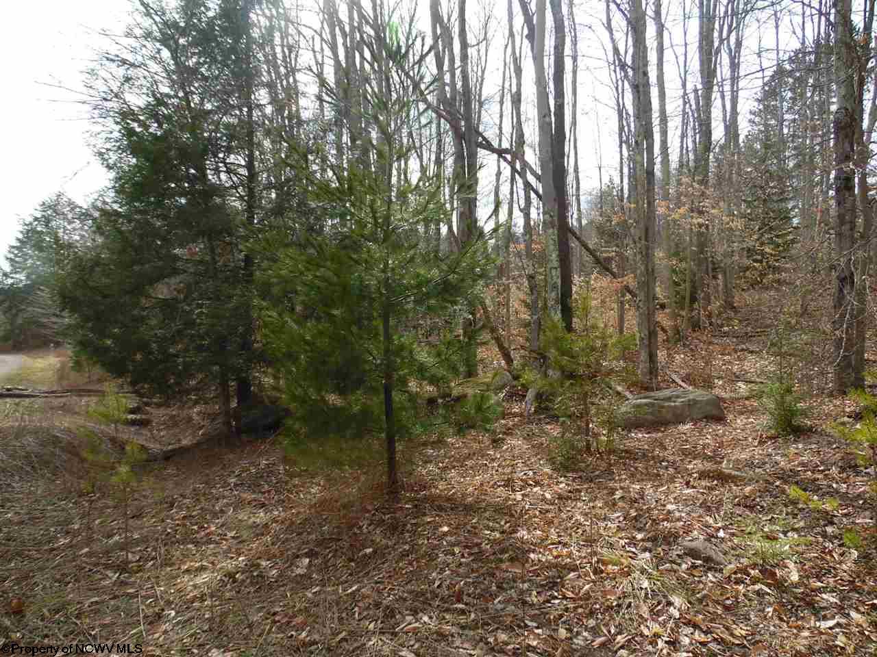 17 Northlake Drive, Davis, WV 26260