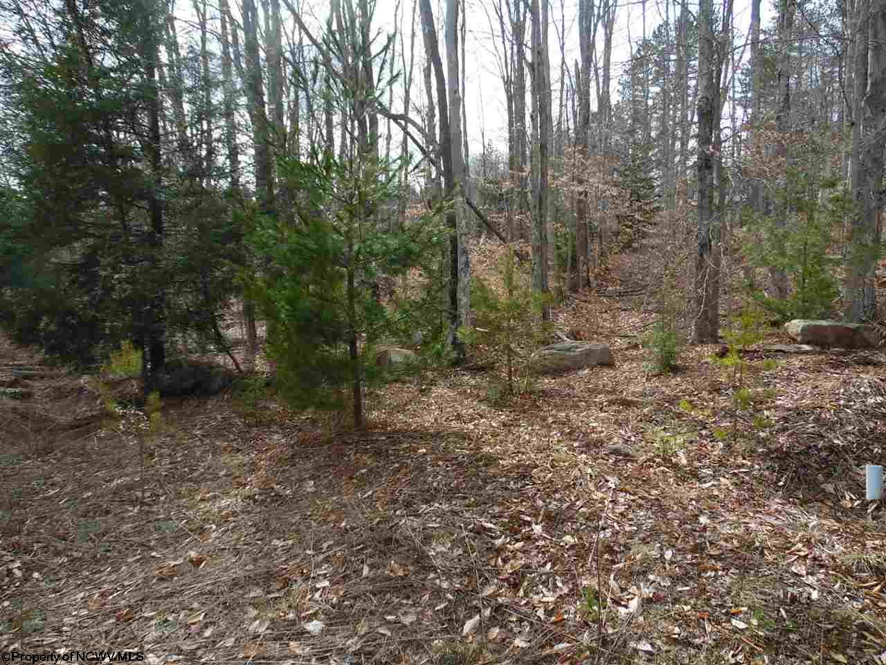 17 Northlake Drive, Davis, WV 26260