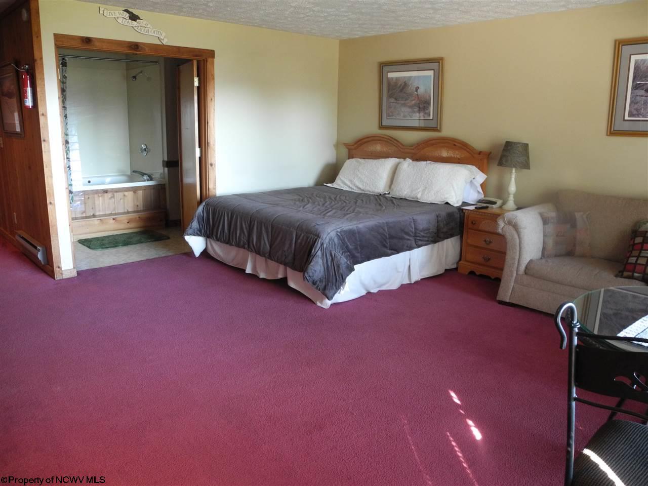 16 Grizzly Way, Davis, WV 26260