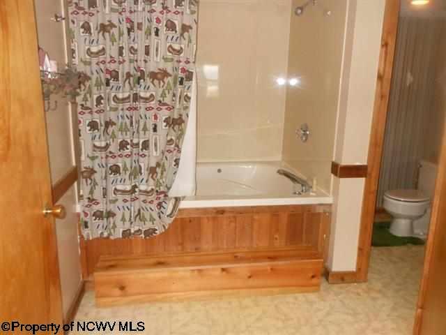 16 Grizzly Way, Davis, WV 26260