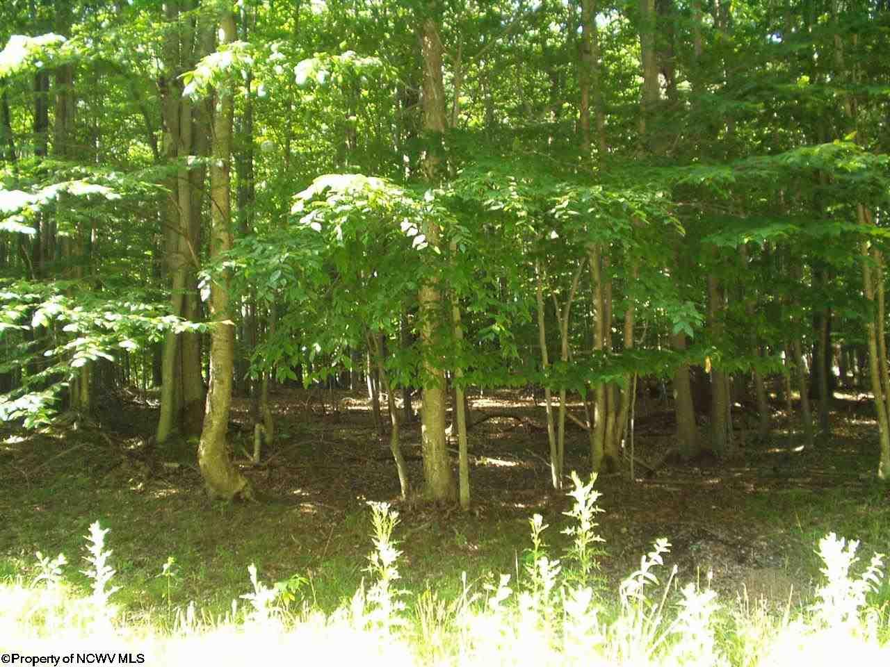 171 Frostline Court, Davis, WV 26260