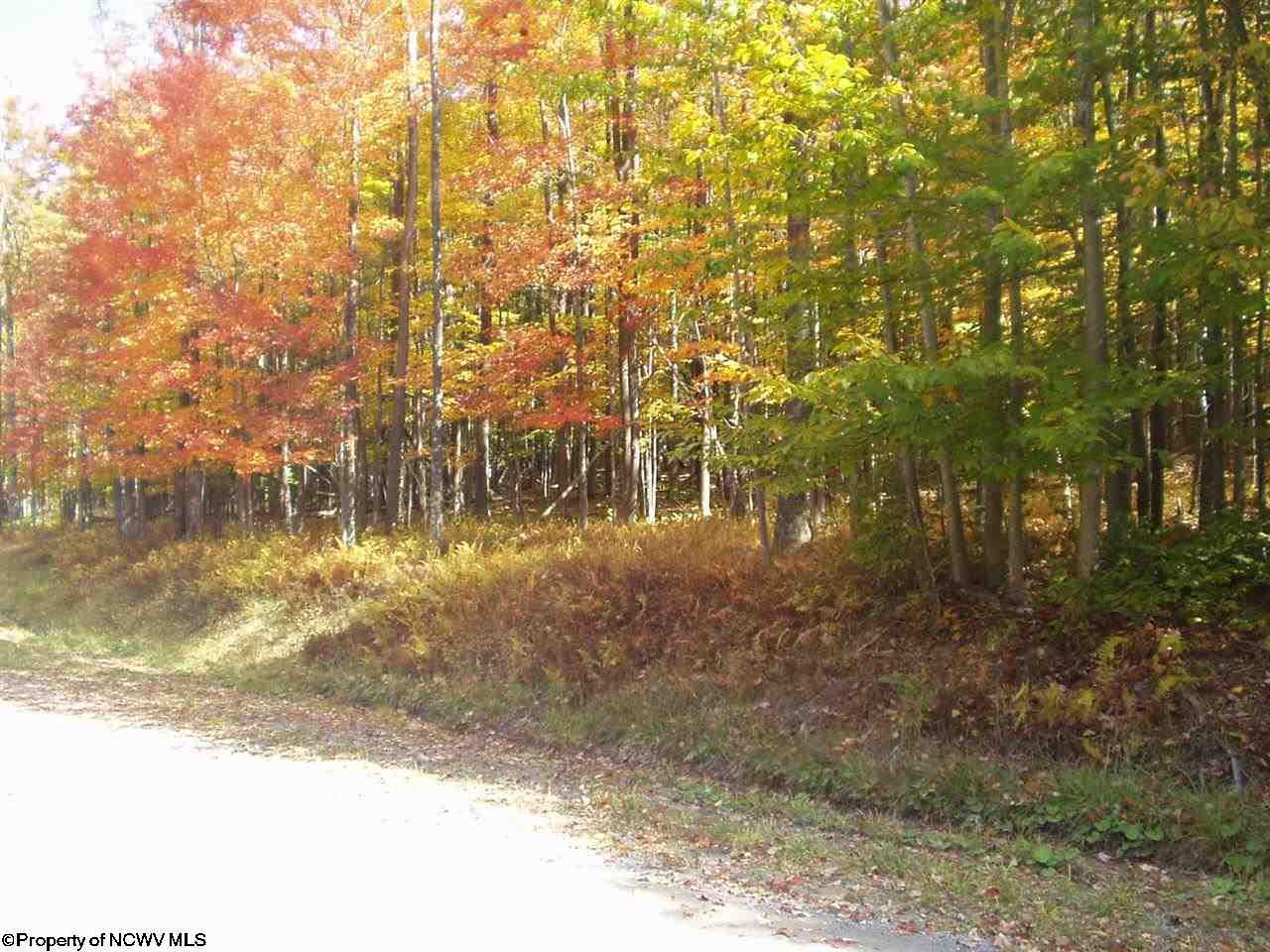 171 Frostline Court, Davis, WV 26260