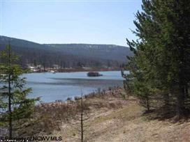 171 Frostline Court, Davis, WV 26260