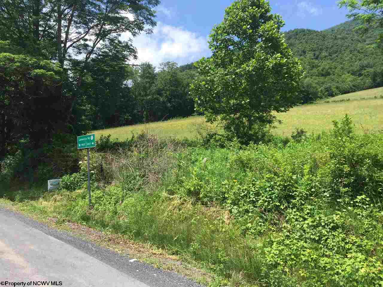 21.2 Laneville Road, Davis, WV 26260