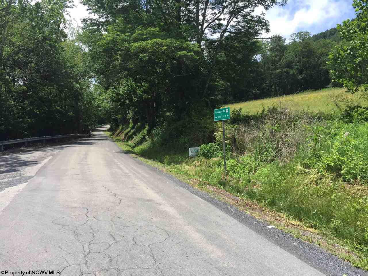 21.2 Laneville Road, Davis, WV 26260