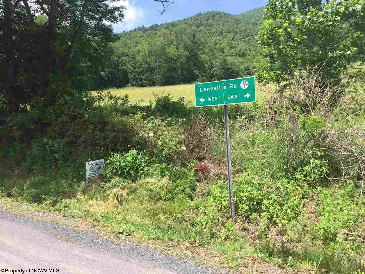 21.2 Laneville Road, Davis, WV 26260