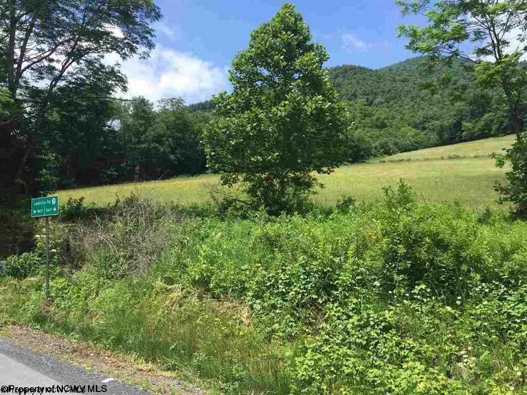21.2 Laneville Road, Davis, WV 26260