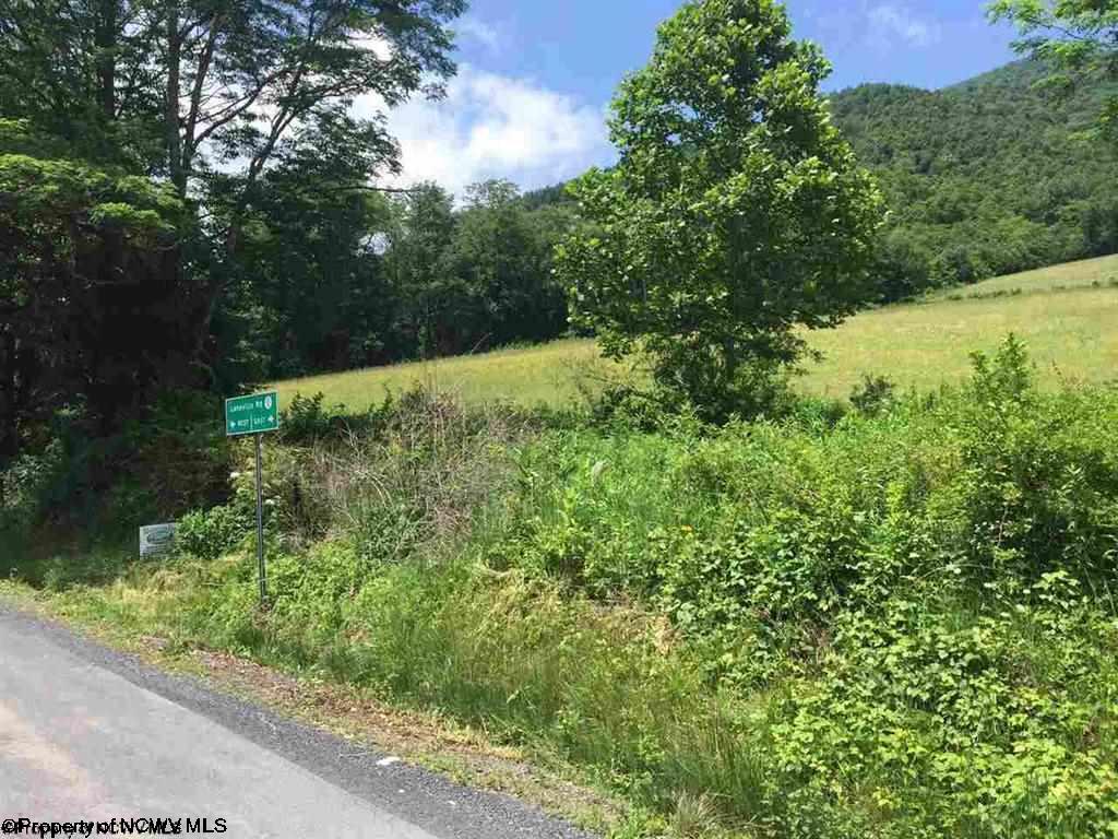 21.2 Laneville Road, Davis, WV 26260