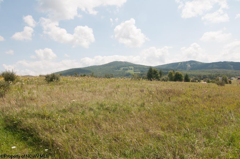 5 Canaan Vista Circle, Davis, WV 26260