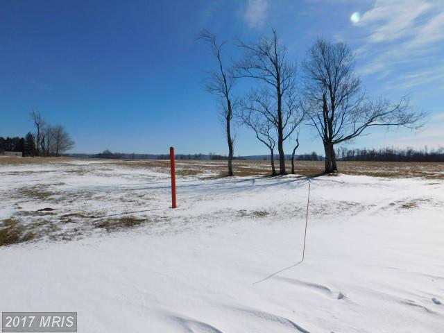 59 VIEW RIDGE, Davis, WV 26260