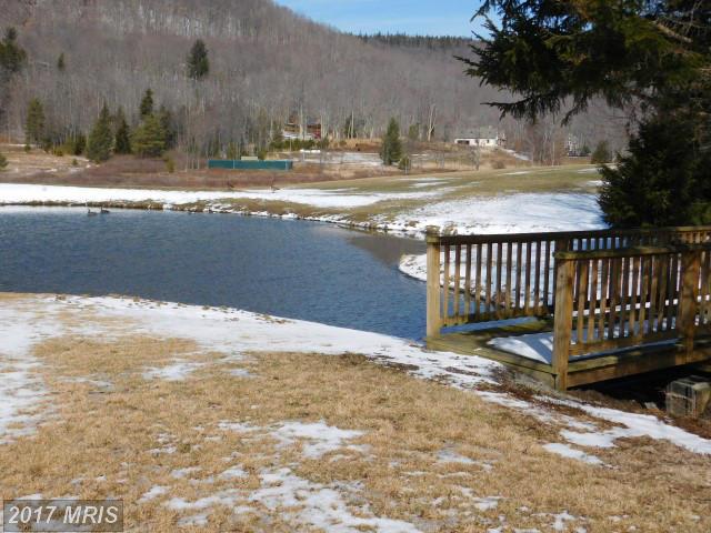 59 VIEW RIDGE, Davis, WV 26260