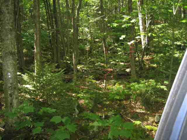 59 Slopeside Road