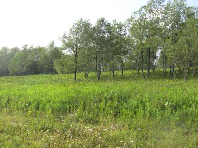 59 Slopeside Road