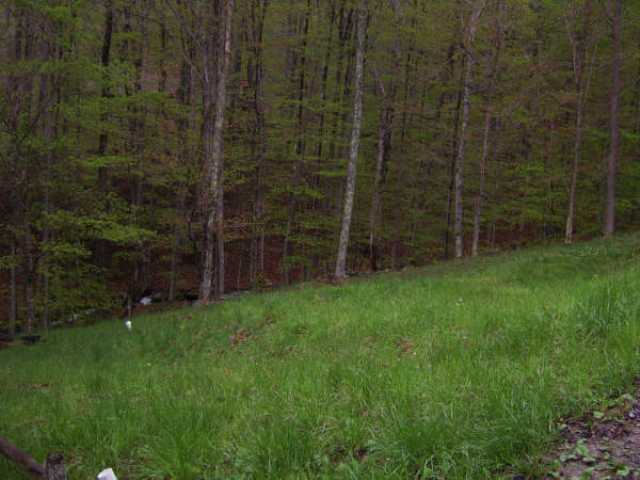 2524 Timberline Road